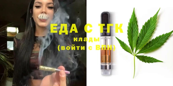 индика Нязепетровск