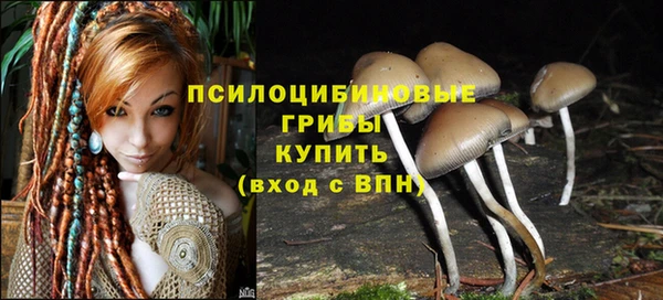 ешки Осташков