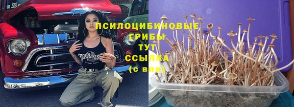 спайс Арсеньев